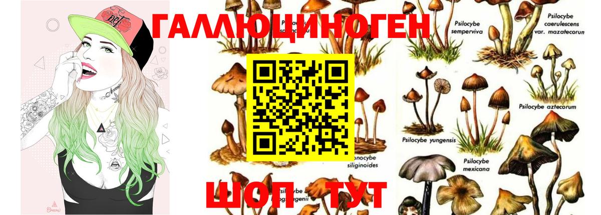 Череповец  Псилоцибиновые грибы MAGIC MUSHROOMS  Вход с VPN  Галлюциногенные грибы Psilocybine cubensis 
